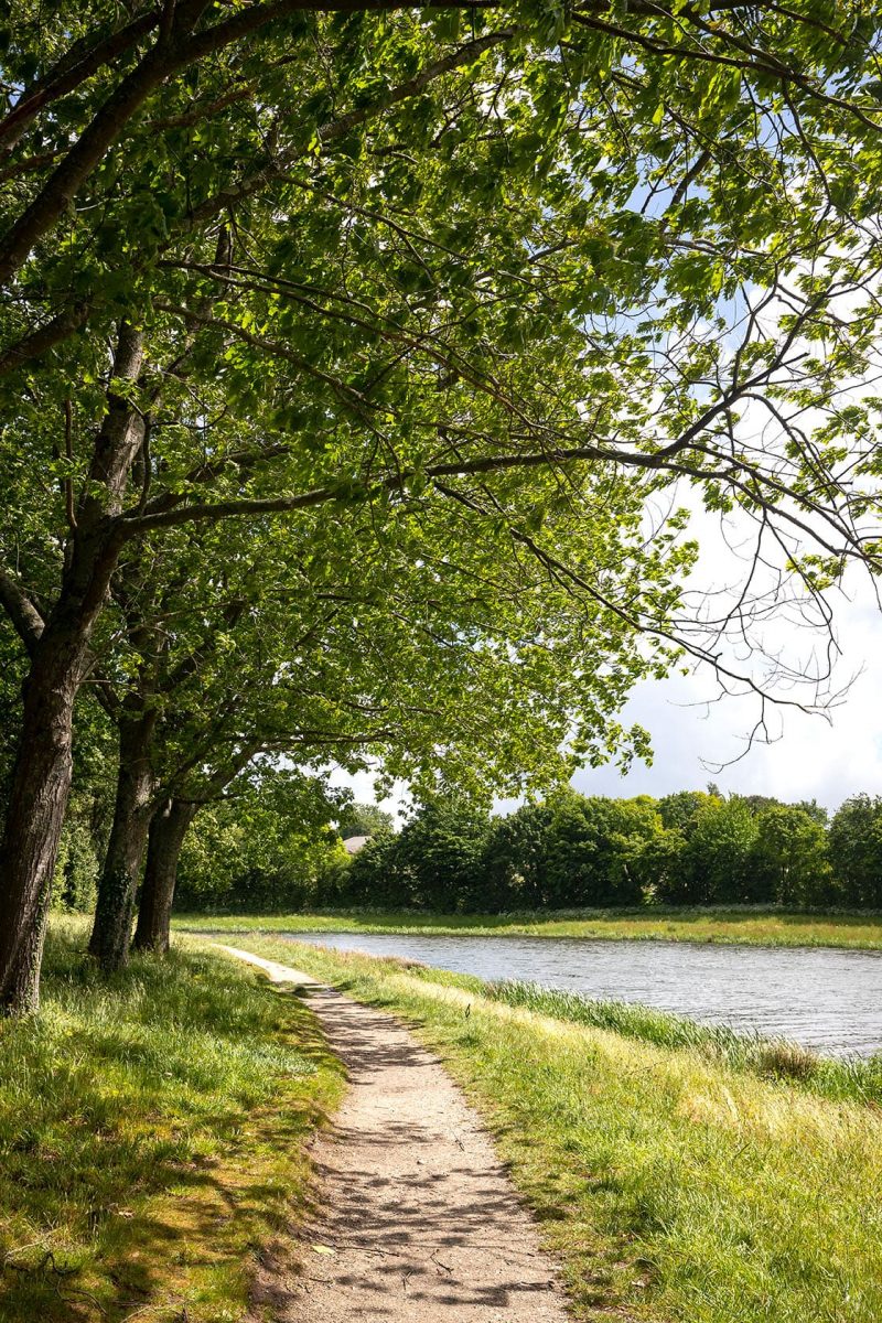 Chemin le long de l'Yon à La Roche-sur-Yon