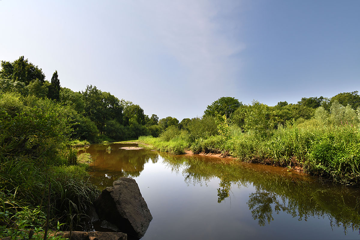 Parks and gardens, Destination La Roche-sur-Yon