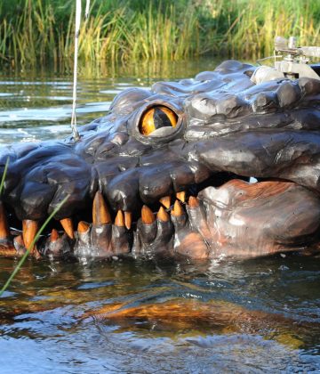 Les Animaux de la Place