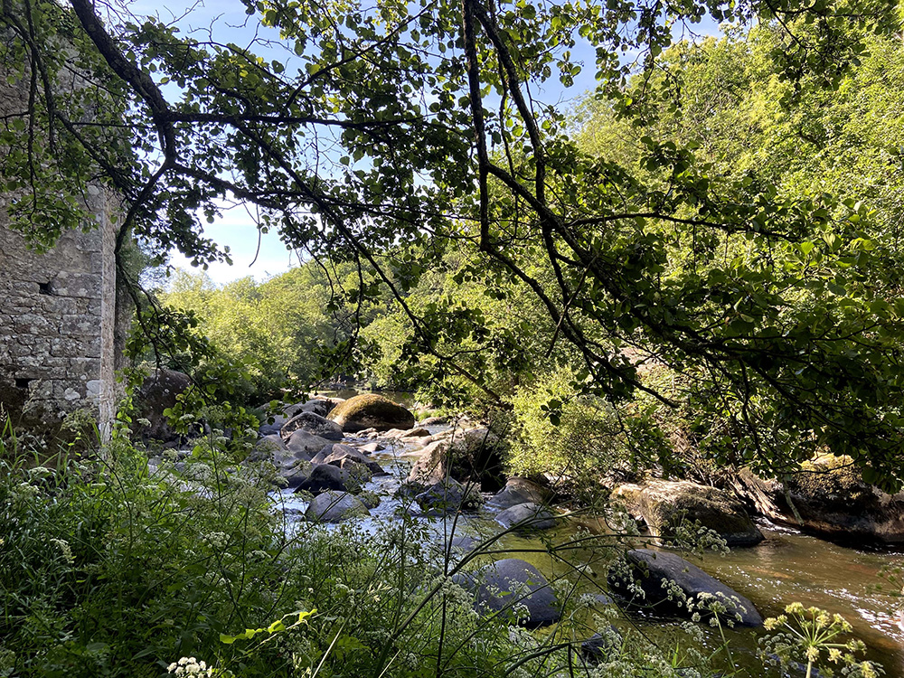 Au cœur de la Vendée