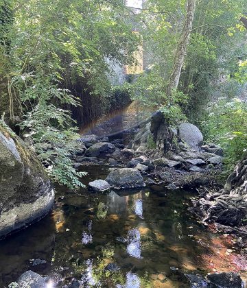 Et au milieu coule l’Yon