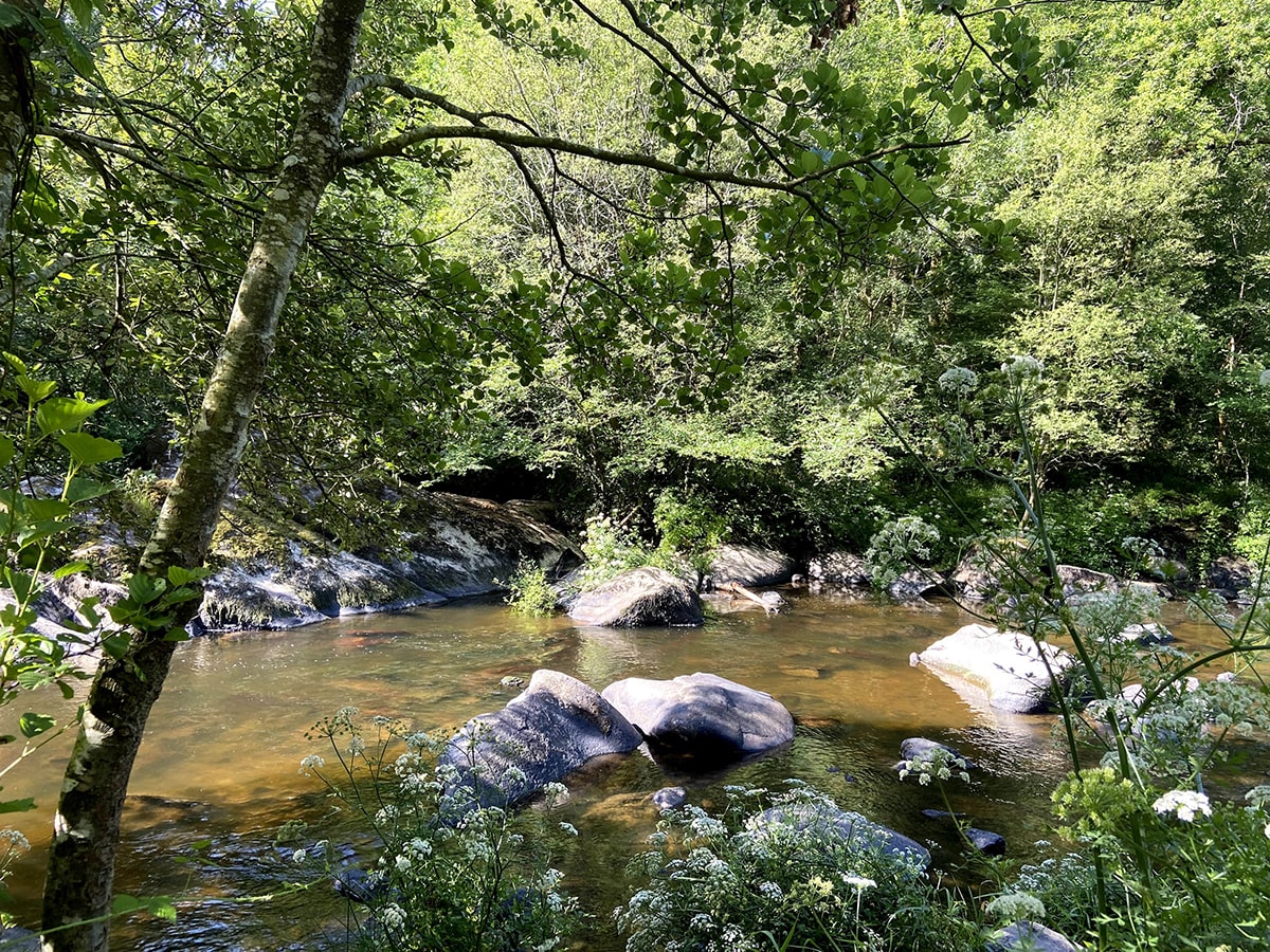 Piquet, Voyage en Vallée de l'Yon, Destination La Roche-sur-Yon