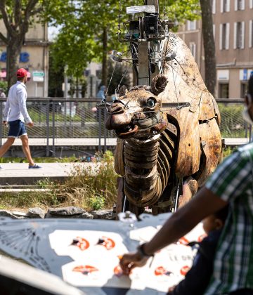 Les Animaux de la Place