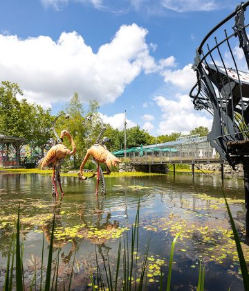 Faites vivre les Animaux de la Place