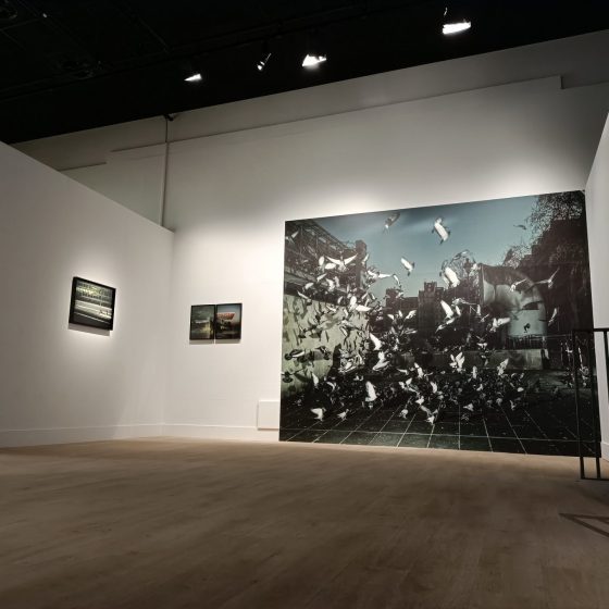 On a visité l’exposition « Il doit faire nuit comme ici ! » au CYEL