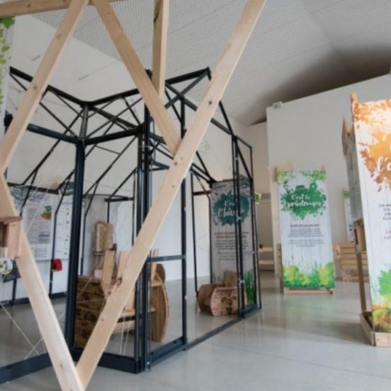 Louez nos expositions et faites voyager vos visiteurs !