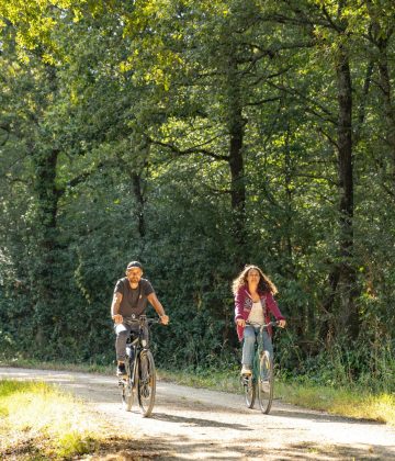 Sillonner la Vallée de L’Yon à vélo électrique !