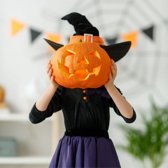 Vacances d’automne à La Roche-sur-Yon