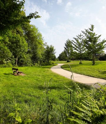 Journée internationale des forêts 🌳