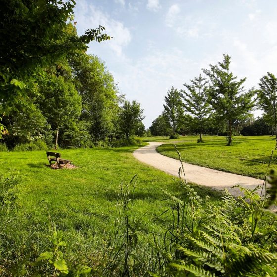 Journée internationale des forêts 🌳