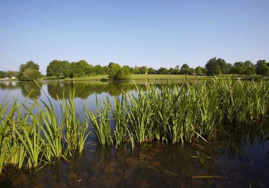 Sentier des Marguerites (Mouilleron le Captif)