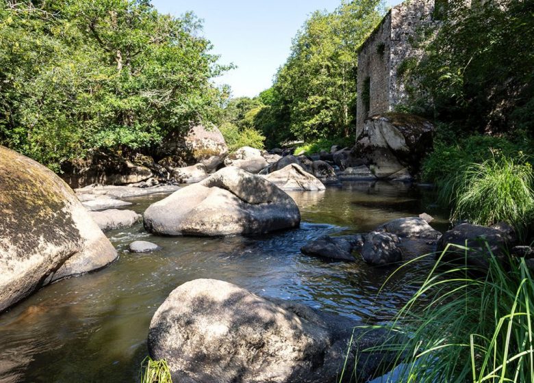 Les safaris insolites de la Destination La Roche-sur-Yon