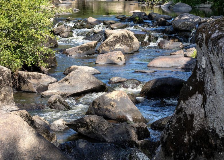 Ycare, sur les chemins de Rambourg – Etape 12 : De Piquet au Moulin de Rambourg