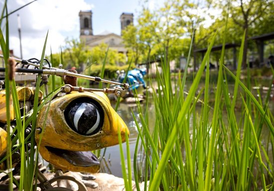 Les Animaux de la Place