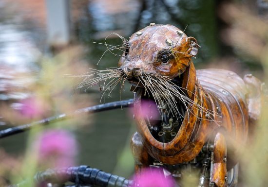 Les Animaux de la Place