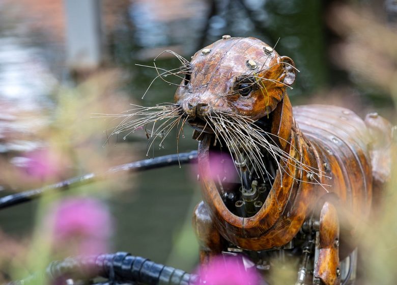 Les Animaux de la Place