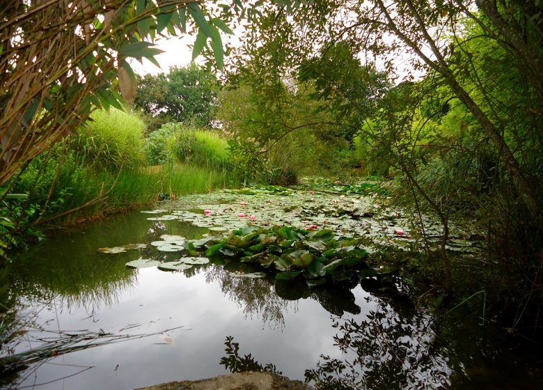 LES JARDINS DU LORIOT