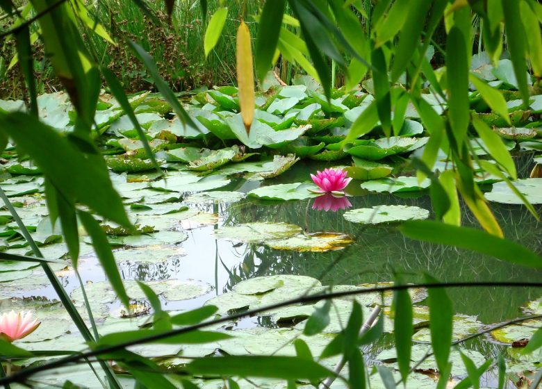 LES JARDINS DU LORIOT