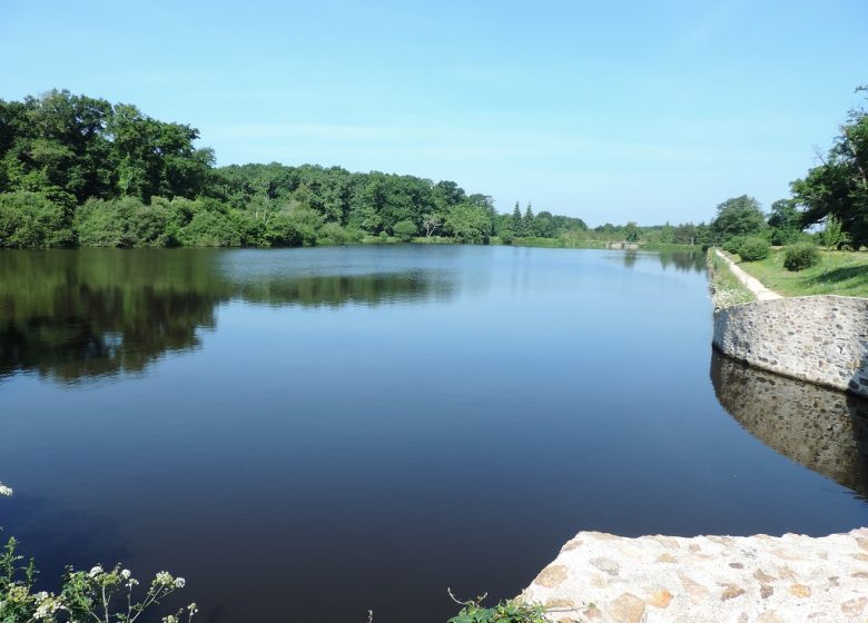 Etang du Plessis à la Ferrière ( accès ligne de bus 11- arrêt « Barillon »)