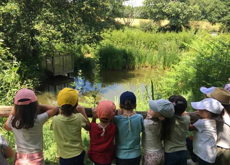 Sortie nature « Petites Nymphes, demoiselles et autres libellules »