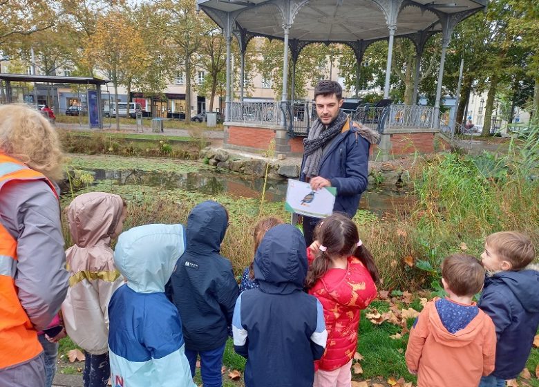 Sortie nature « Petites bêtes au bord de l’Yon »
