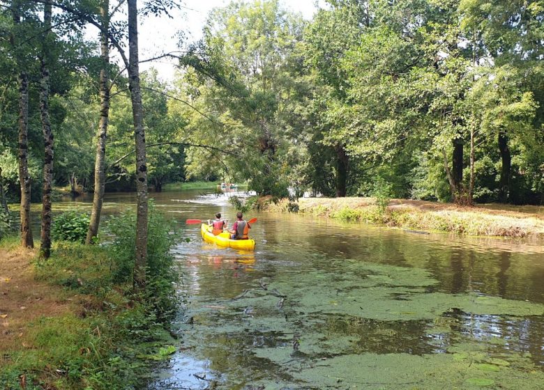 Été Vagabond : Découverte de l’Yon en canoë