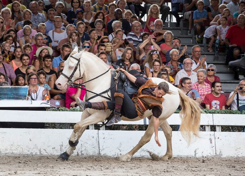 VENDEE HARAS