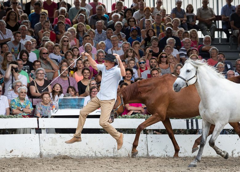 VENDEE HARAS