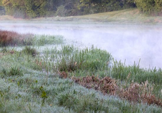 Sentier de la Trottinière (La Ferrière)