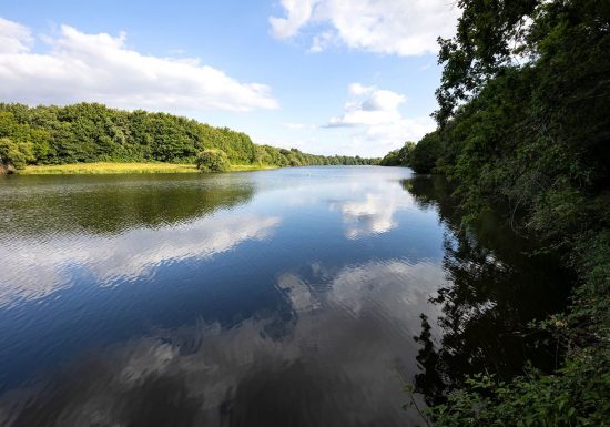 Sentier de l’Érable (la Roche sur Yon)