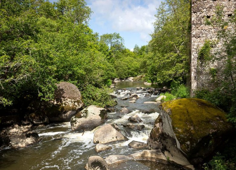 Sortie nature – Le sculpteur du Chaos de piquet