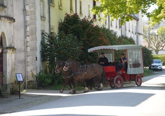 Le Printemps au Haras