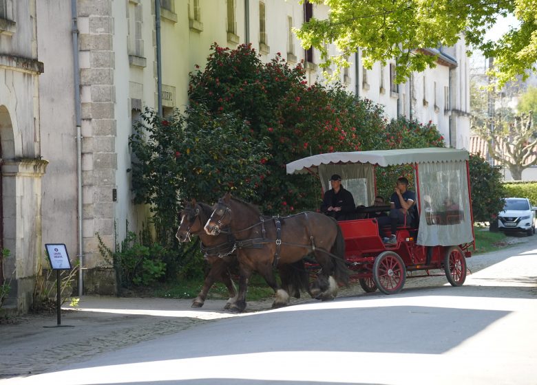Le Printemps au Haras