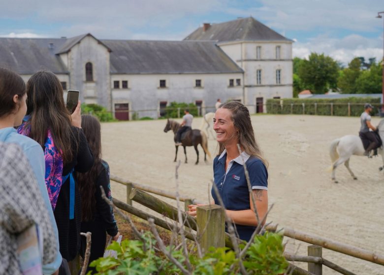 L&rsquo;été au Haras