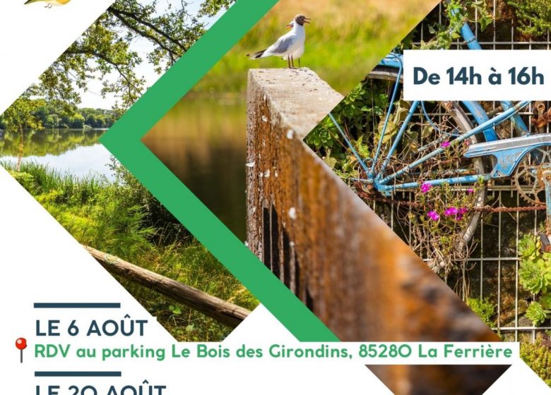 Les safaris Plumes et Pattes de la Destination La Roche-sur-Yon
