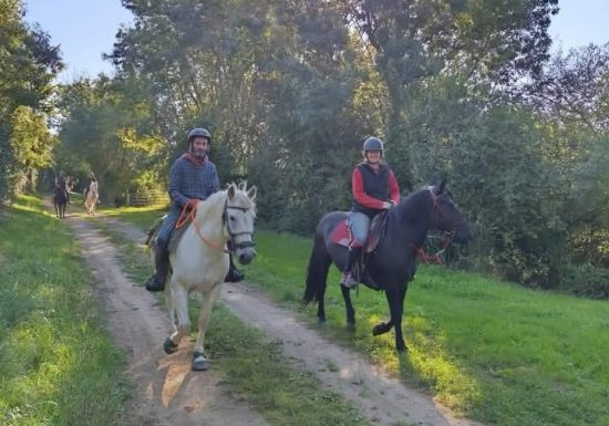La ferme des longs crins