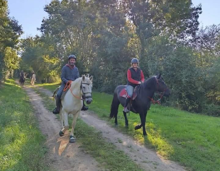 La ferme des longs crins