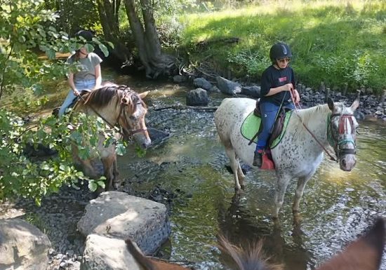 La ferme des longs crins