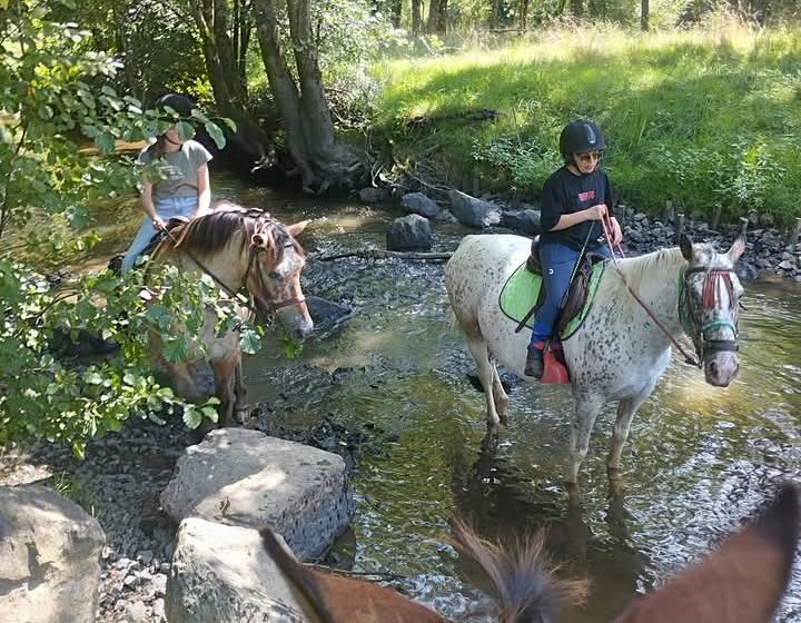 La ferme des longs crins