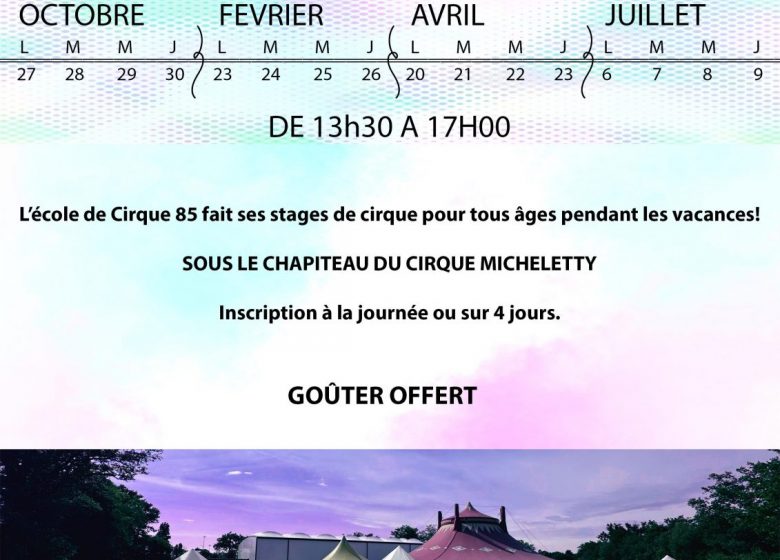 Stages vacances Cirque