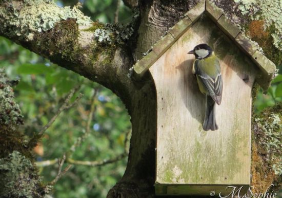 GÎTES DE LA BIGAUDIÈRE – GÎTE TERROIR