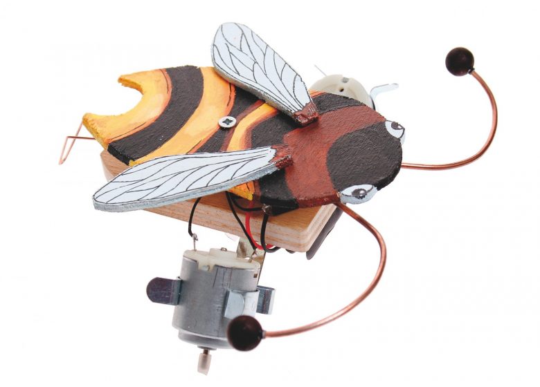 Stage Abeille Autonome – A partir de 11 ans