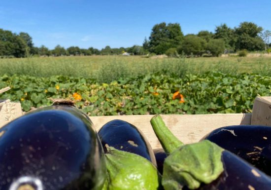 Les jardins du Puyrajoux