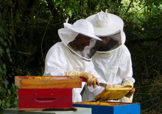 GÎTES DE LA BIGAUDIÈRE – GÎTE TERROIR