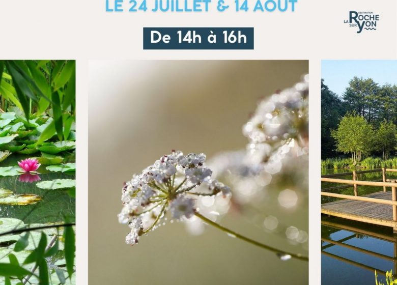 Les safaris insolites de la Destination La Roche-sur-Yon