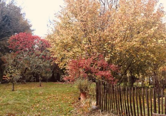 GÎTES DE LA BIGAUDIÈRE – GÎTE TERROIR