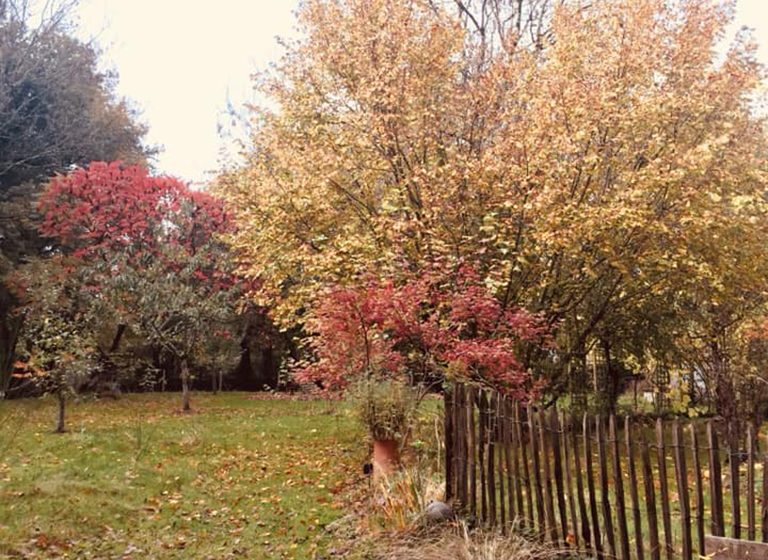 GÎTES DE LA BIGAUDIÈRE – GÎTE TERROIR