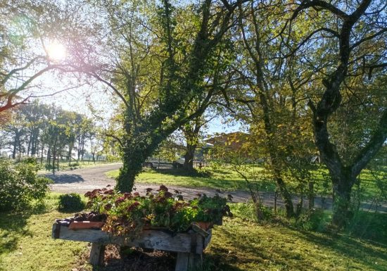 Gîte La Veillonniere – La Ferme de Camille