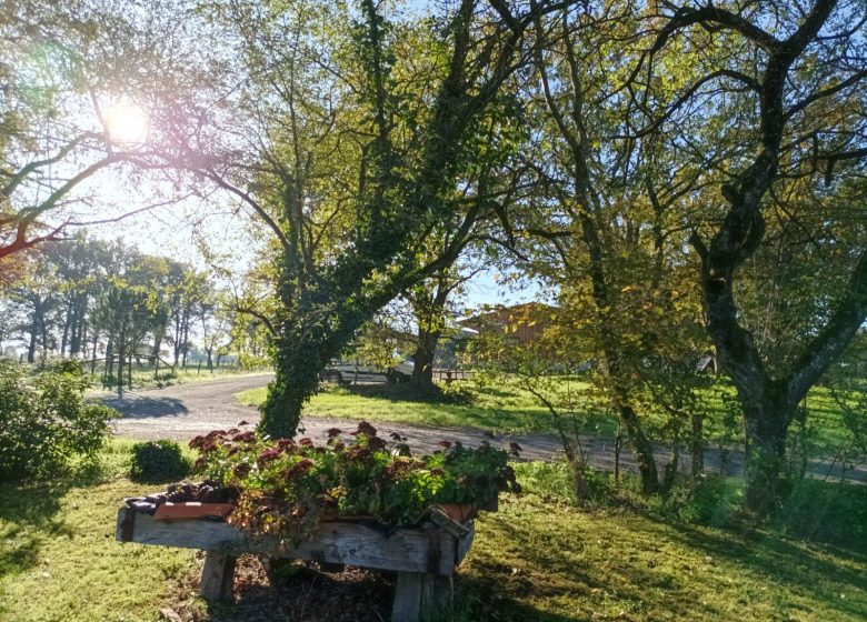 Gîte La Veillonniere – La Ferme de Camille