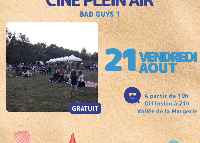 CINÉMA EN PLEIN AIR